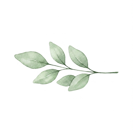 Botanical Leaf Accent